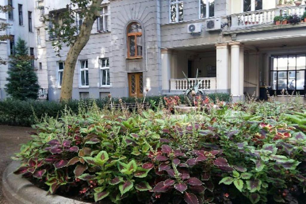 Gorgeous Flat Right Near The City Center Budapesta Exterior foto